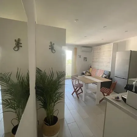 T1 Neuf Balcon 700 M De La Mer Parking Wifi Draps Six-Fours-les-Plages Exterior foto